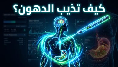 الآلية البيولوجية لعمل إبر التنحيف داخل الجسم البشري